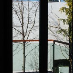 26/img_253.jpg
